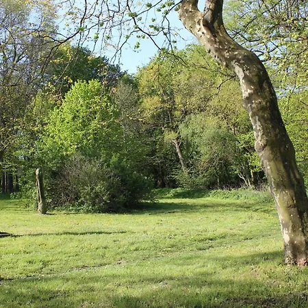 Maison Du Bonheur * Rerik